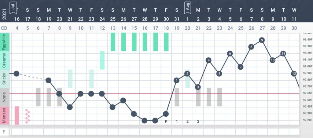 Fertility awareness chart from the Tempdrop app